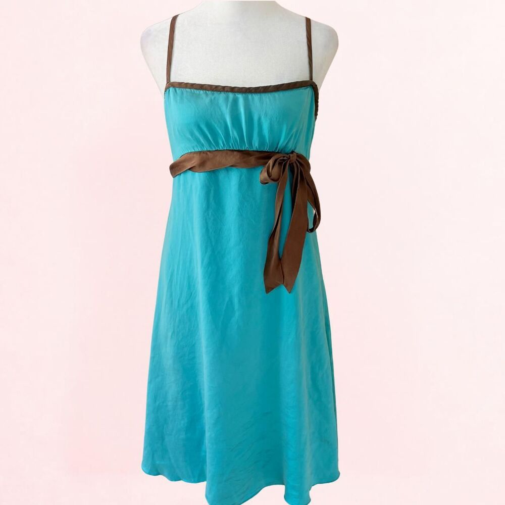 Silk Women's Blue and Brown Dress